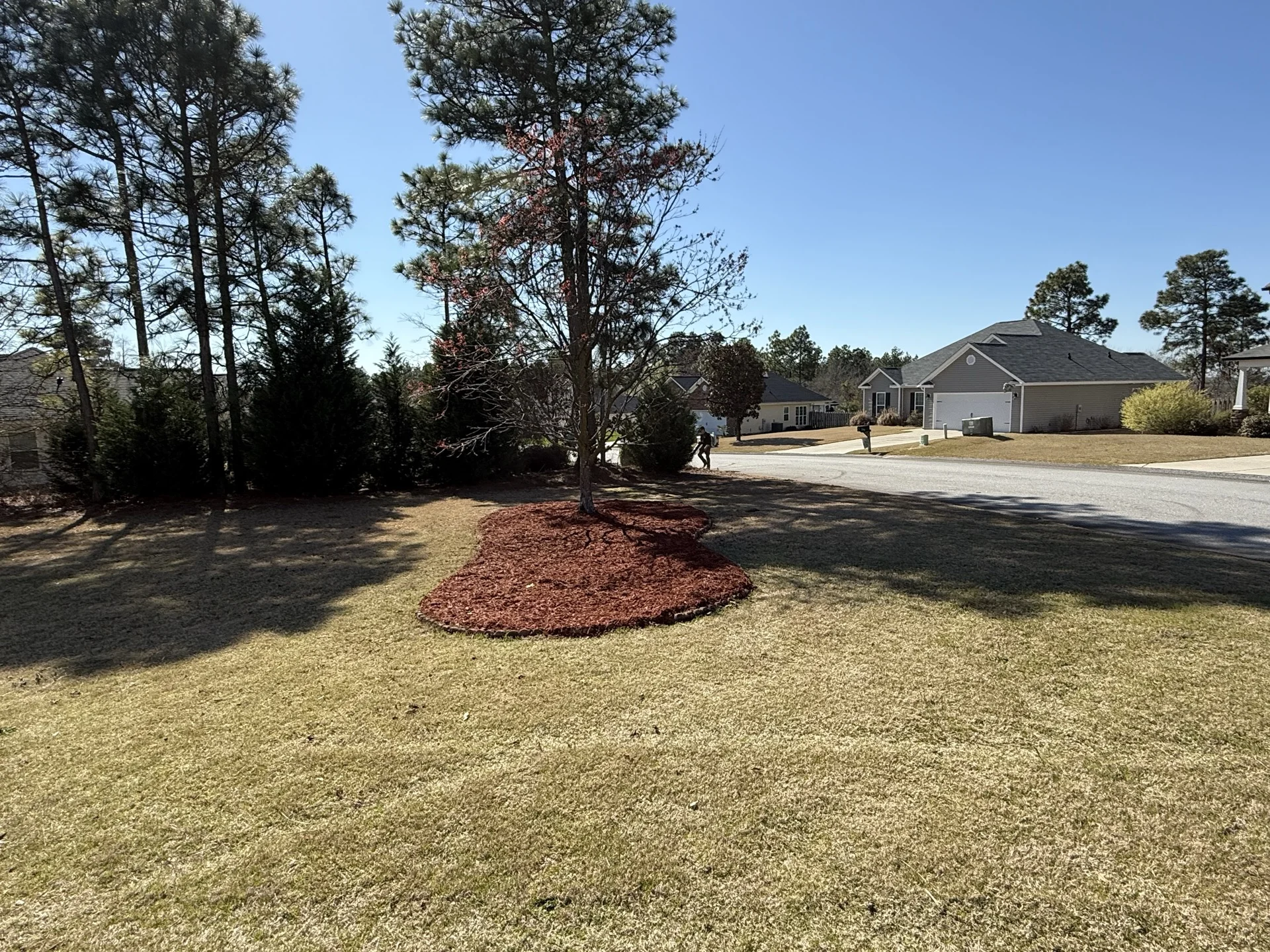 Southern Ethos project detail