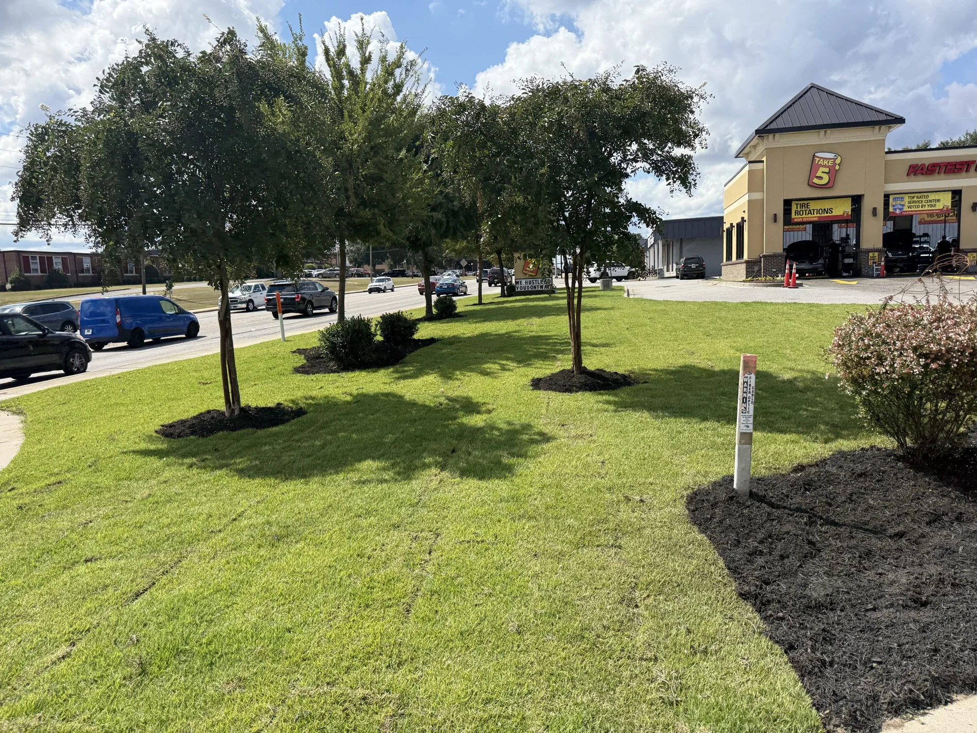 Southern Ethos project 14