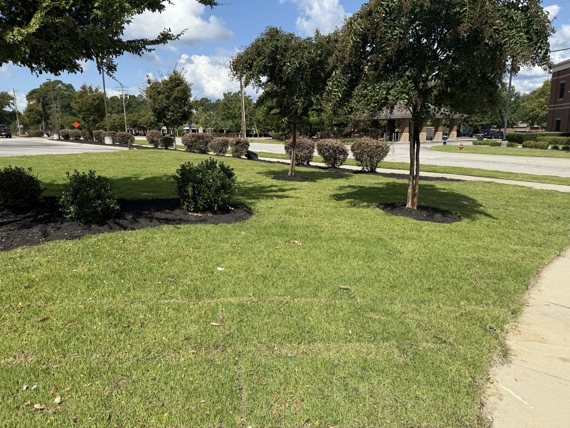 Southern Ethos project 16