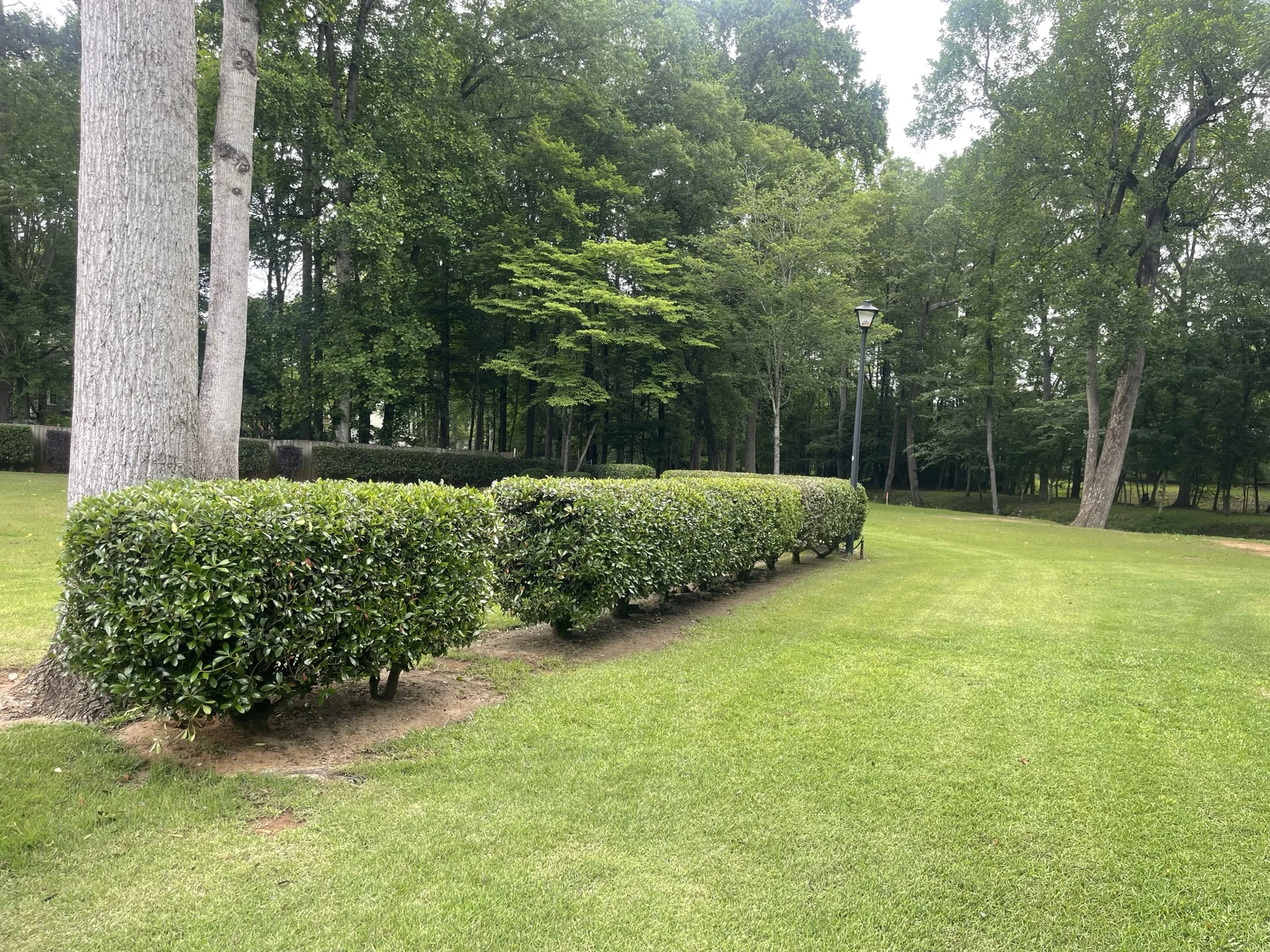 Southern Ethos client project