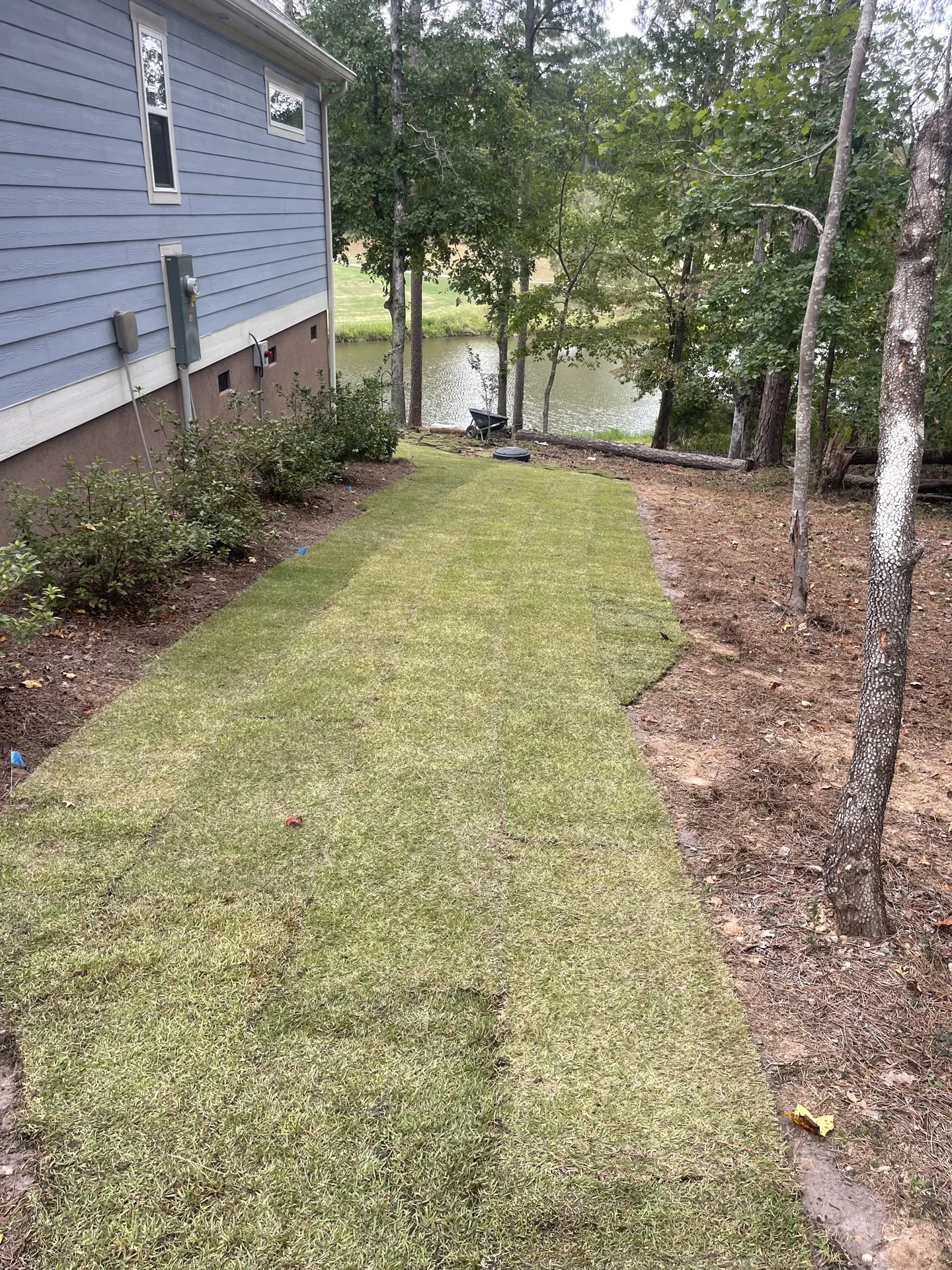 Southern Ethos project 25